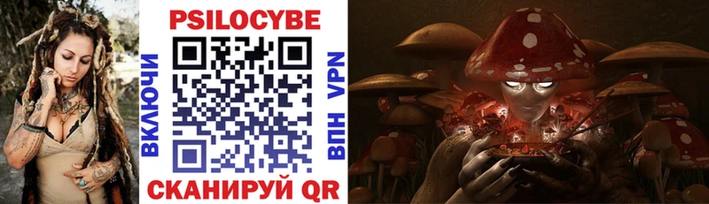 Псилоцибиновые грибы Psilocybe  Щучье 